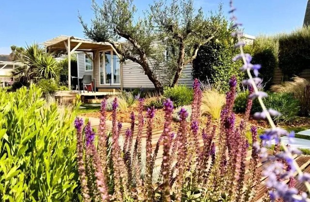 Camping La Côte des Légendes * - Aromatic garden cottage - 3 bedrooms - 2 bathrooms 6 people