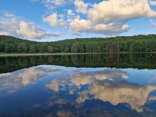 Camping Montard
