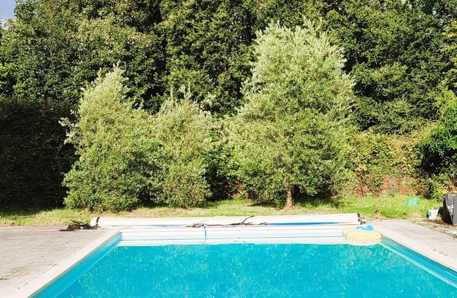Camping Vieilles Charrues ptt-dj shuttle, swimming pool included. 5min from carhaix