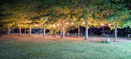 Campo en alquiler pet friendly