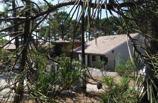 Carcans Plage: in the forest, 2 minutes away from the beach