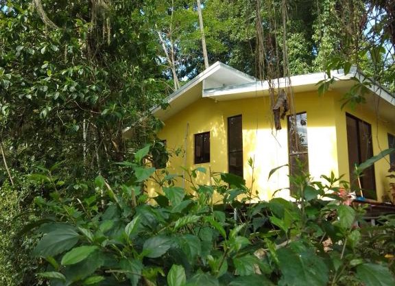 Caribbean Forest Cabins