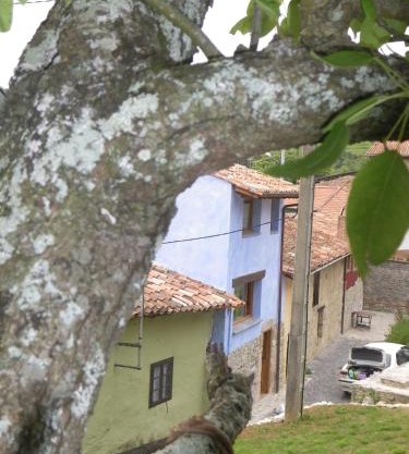 Casa Azul Rodiles