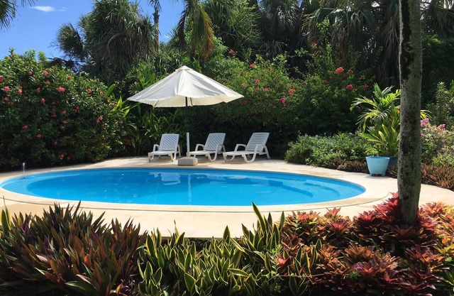 Casa Baldoria - Tropical Villa
