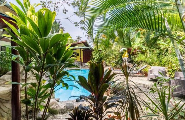 Casa Caribbean Coconut