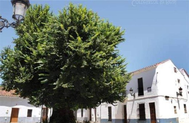 Casa coro