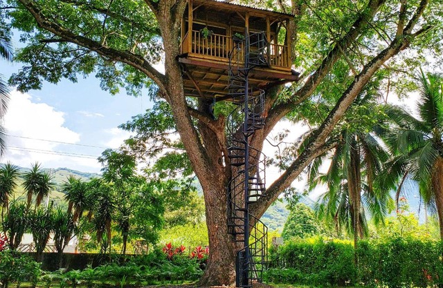 Casa en el Arbol