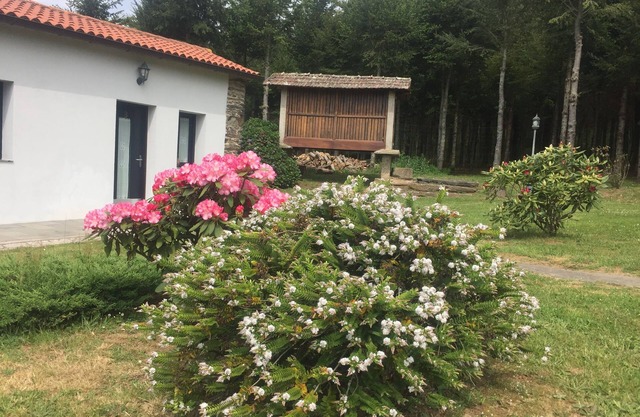 Casa Garea
