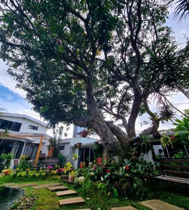 Casa Jardin del Mango
