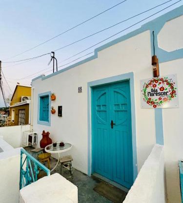 CASA JASMIM, vila florescer, centro histórico!