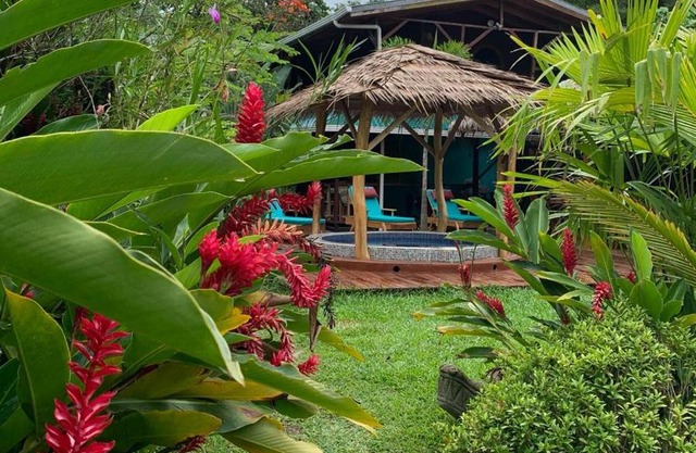 Casa Mambo