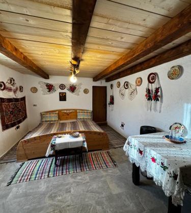 Casa Radu - Zece Hotare
