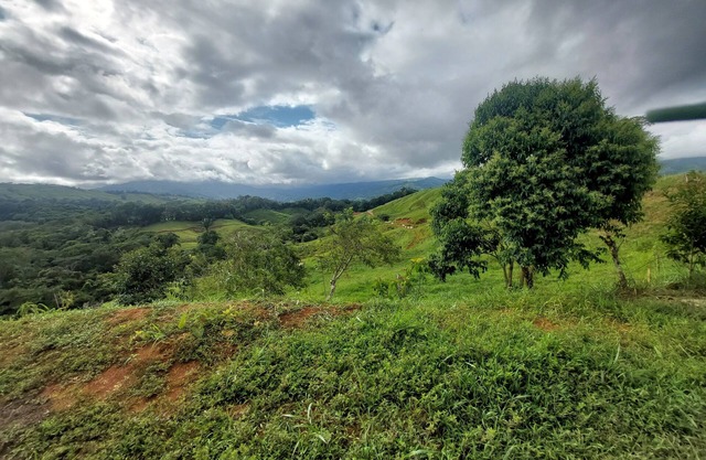 Casa Verde