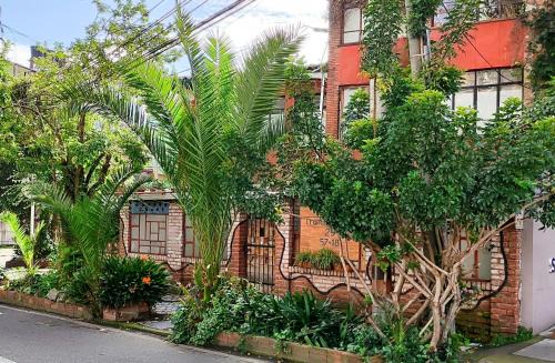 Casa Viva Apartaestudio Terraza