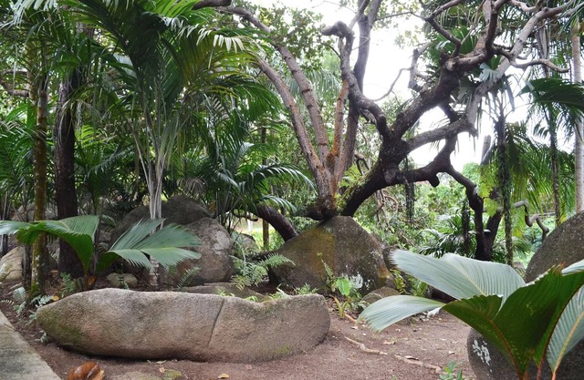 Cashew Nut Grove Chalets