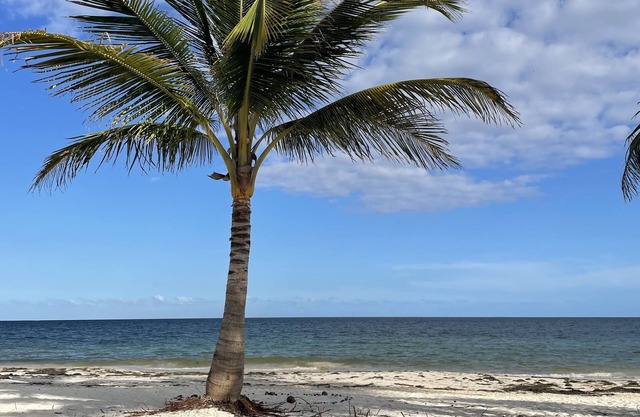 Casita KinHa Garden Suite - Oceanfront