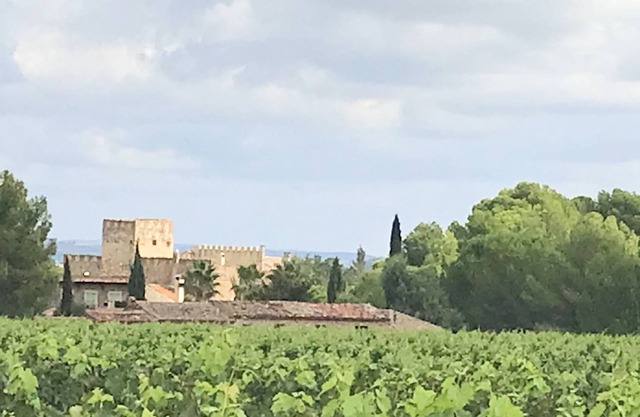 Castle with swimming pool for 14 people near Béziers