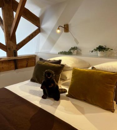 Castor Coquin Aubagne Cassis Aix en Provence