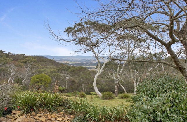 Cecils Chair Blackheath Blue Mountains
