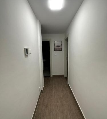 central apartment for rent 22