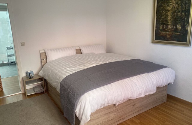 Central business apartment newly renovated