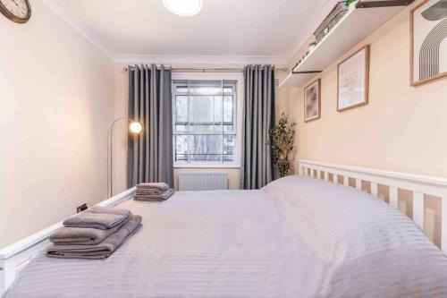 Central London Apartment Close to The London Eye
