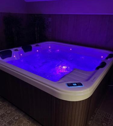 Central Lux Apartman Spa