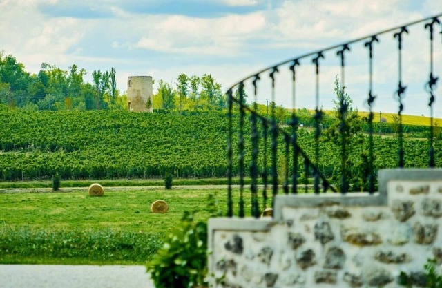 Château Chatillon