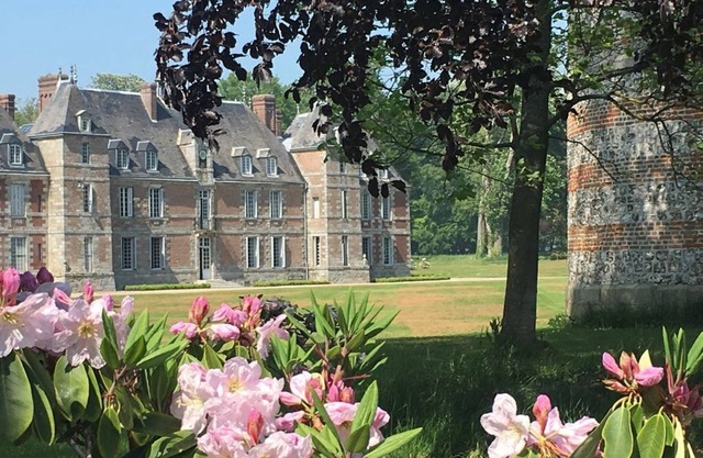 Château de Janville * * * * * Swimming pool -Tennis - Golf - Beaches