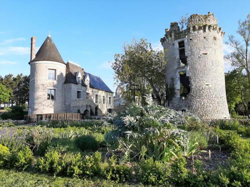 Château médiéval avec piscine privée et jardin, animaux acceptés - FR-1-381-410
