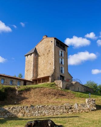 Château Montegut Rustique