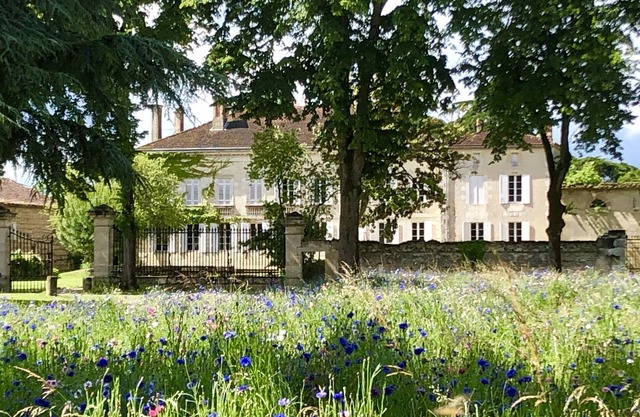 Château Rouge 47