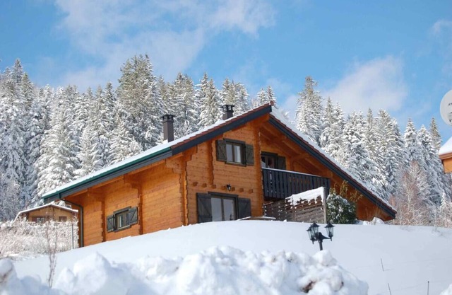 Chalet 3 places 2 bedrooms 2 bathrooms with nice view on the edge of the forest