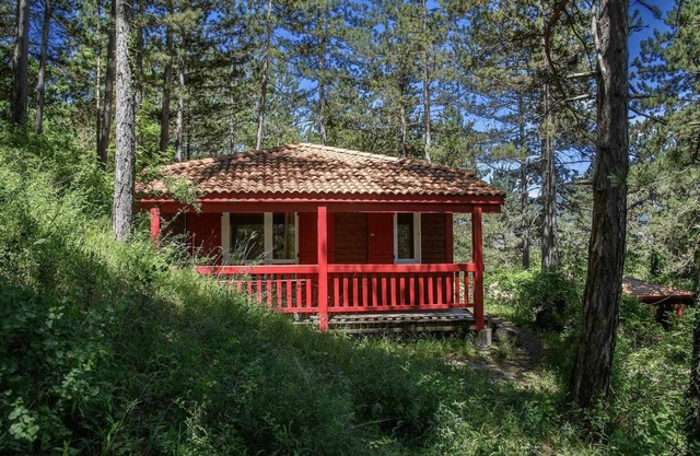 Chalet 4 étoiles - Piscine - ccaifib