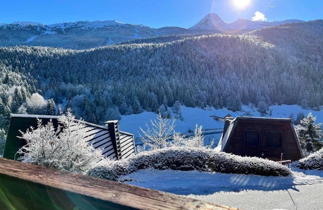 Chalet confortable dans le Vercors - FR-1-515-28