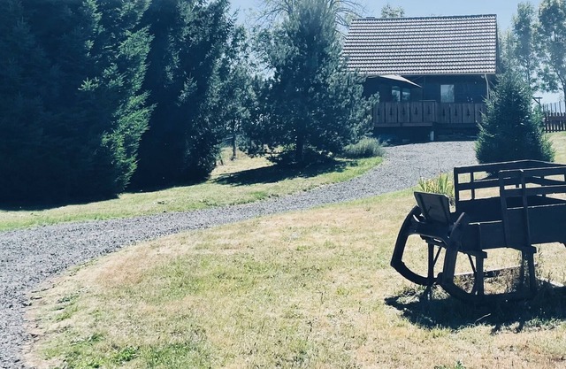 Chalet des marmottes in Sancy near the ski slopes. 1000m of land