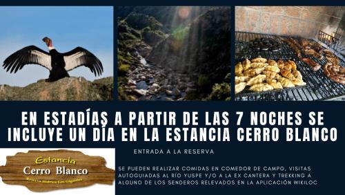 Chalet interno con rooftop