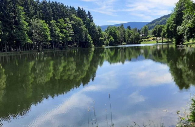 Chalet "la clef des bois