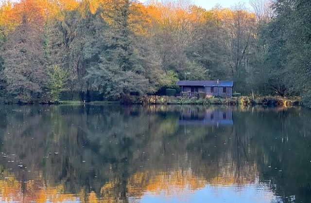 Chalet nature avec étang, terrasse et pêche No Kill - 2 chambres - FR-1-410-383