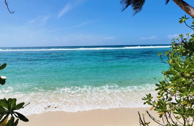 Chalets d'Anse Forbans SelfCatering
