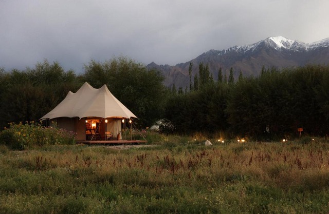 Chamba Camp Thiksey