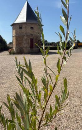 Chambres dhotes a la ferme
