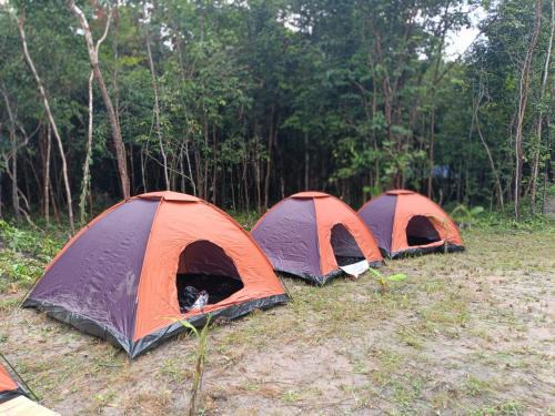 Chansor Homestay 3 By Siem Reap Homesteading