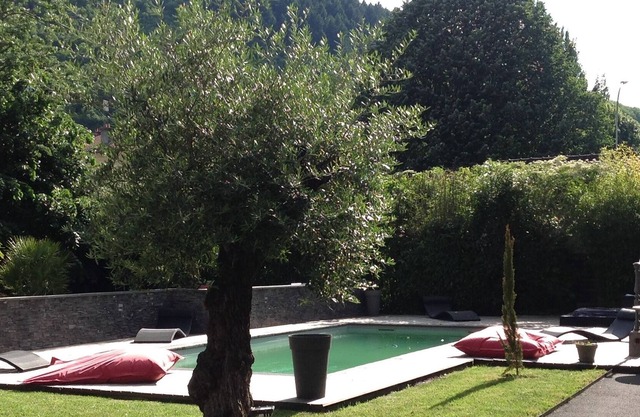Character House - Swimming pool - Ideally located between Carcassonne and Albi