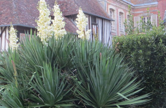 Charm, romanticism to recharge your batteries in the heart of the Pays d'Auge