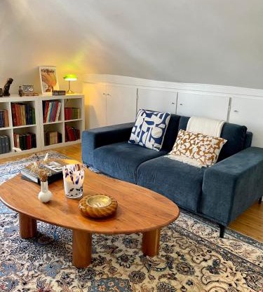 Charmant appartement parisien