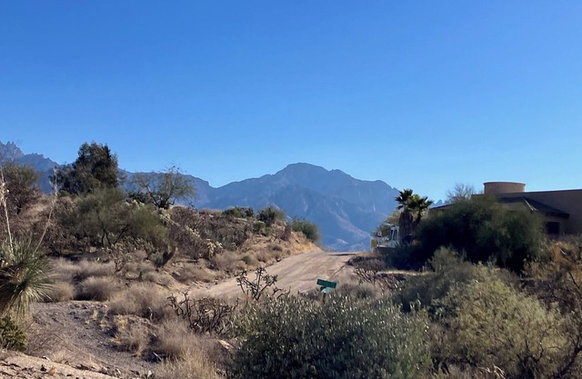 Charming 2-bedroom house in brilliant Tucson a great area