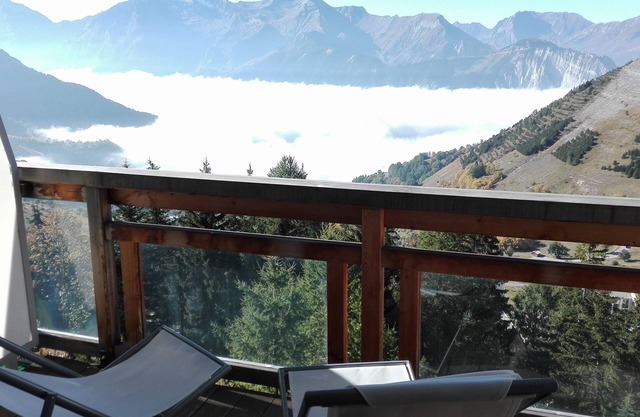 Charming apartment 40 m2/4 p classified 3 * old district Alpe, magnificent view