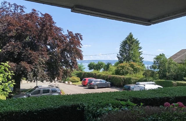 Charming apartment - breathtaking view of Lake Geneva