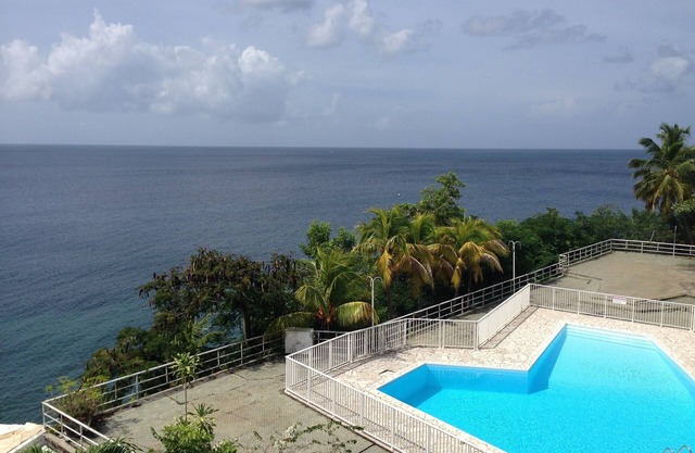Charming apartment, facing the Caribbean Sea with pool and beach.